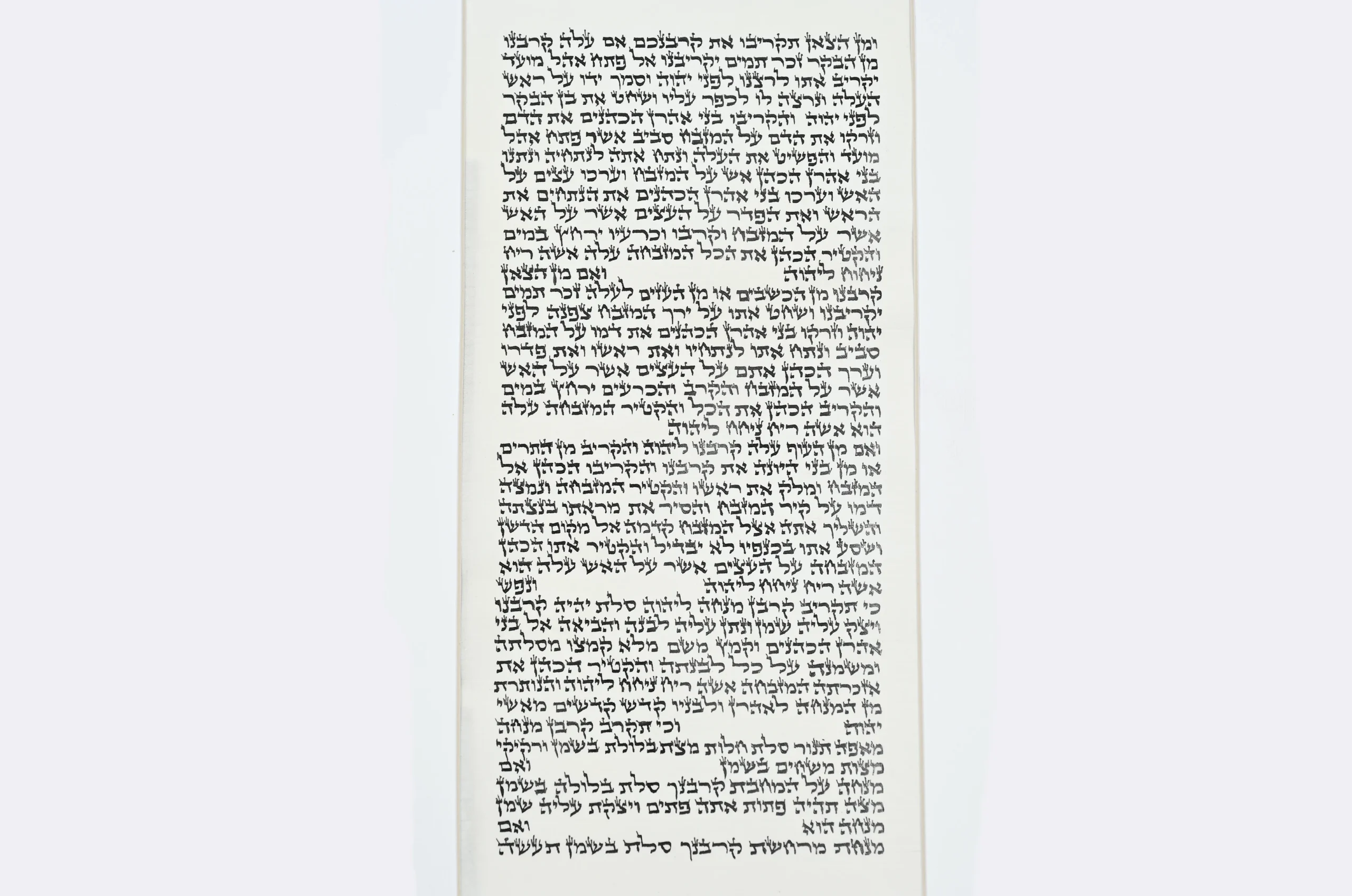 ספר תורה אשכנזי ארי